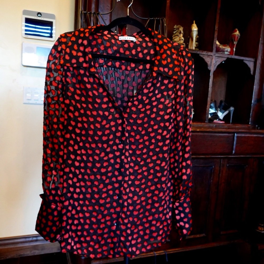 Alice and Olivia sheer, silk, button down blouse size Large